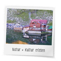 naturerlebnis-la-palma-kanaren-mandelblüte